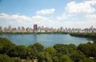 Wonderful Central Park Wonderful Central Park