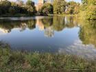 Autumn is Here: Week 30 in the Time of Coronavirus Autumn is Here: Week 30 in the Time of Coronavirus